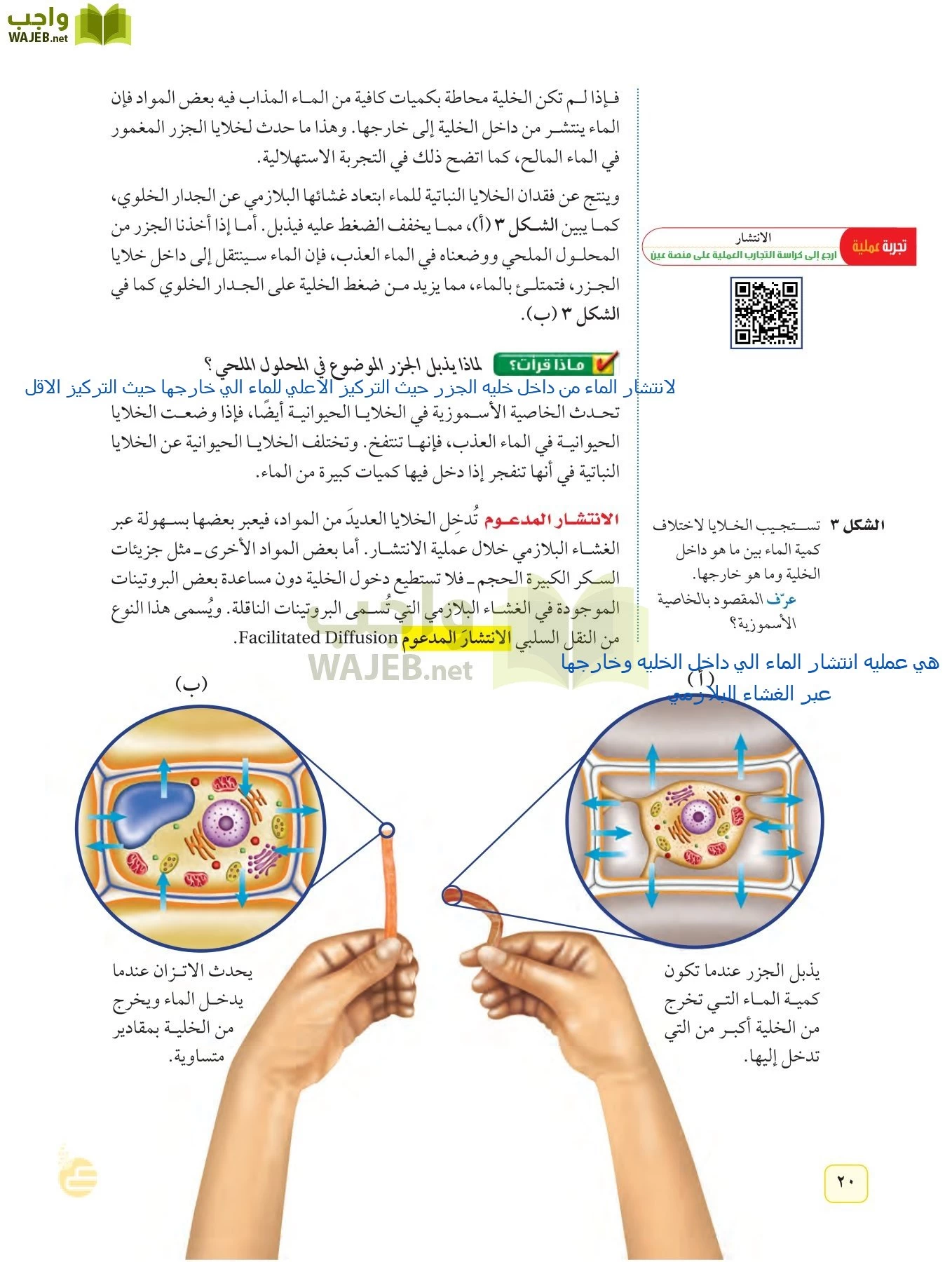 العلوم page-19