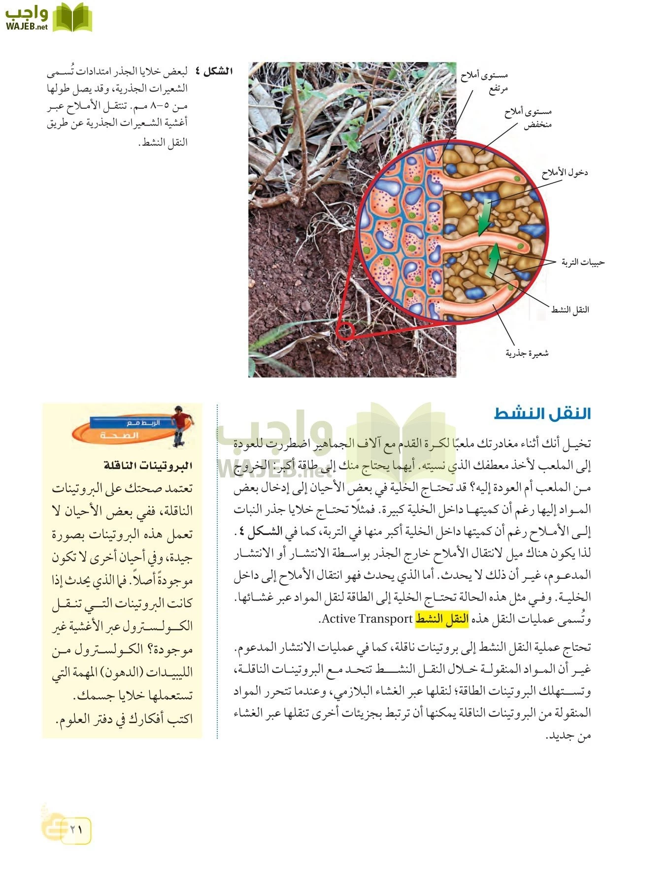 العلوم page-20