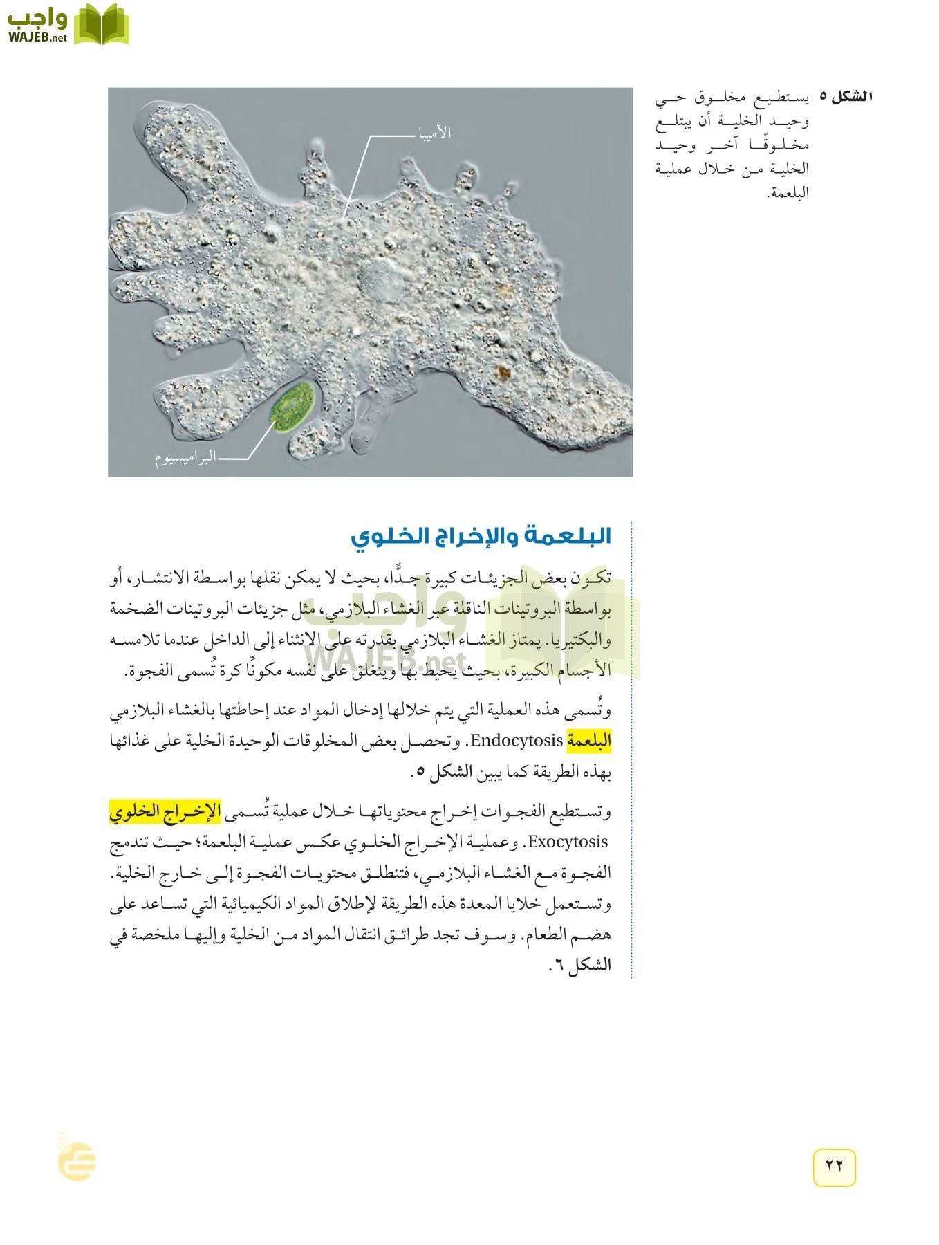 العلوم page-21