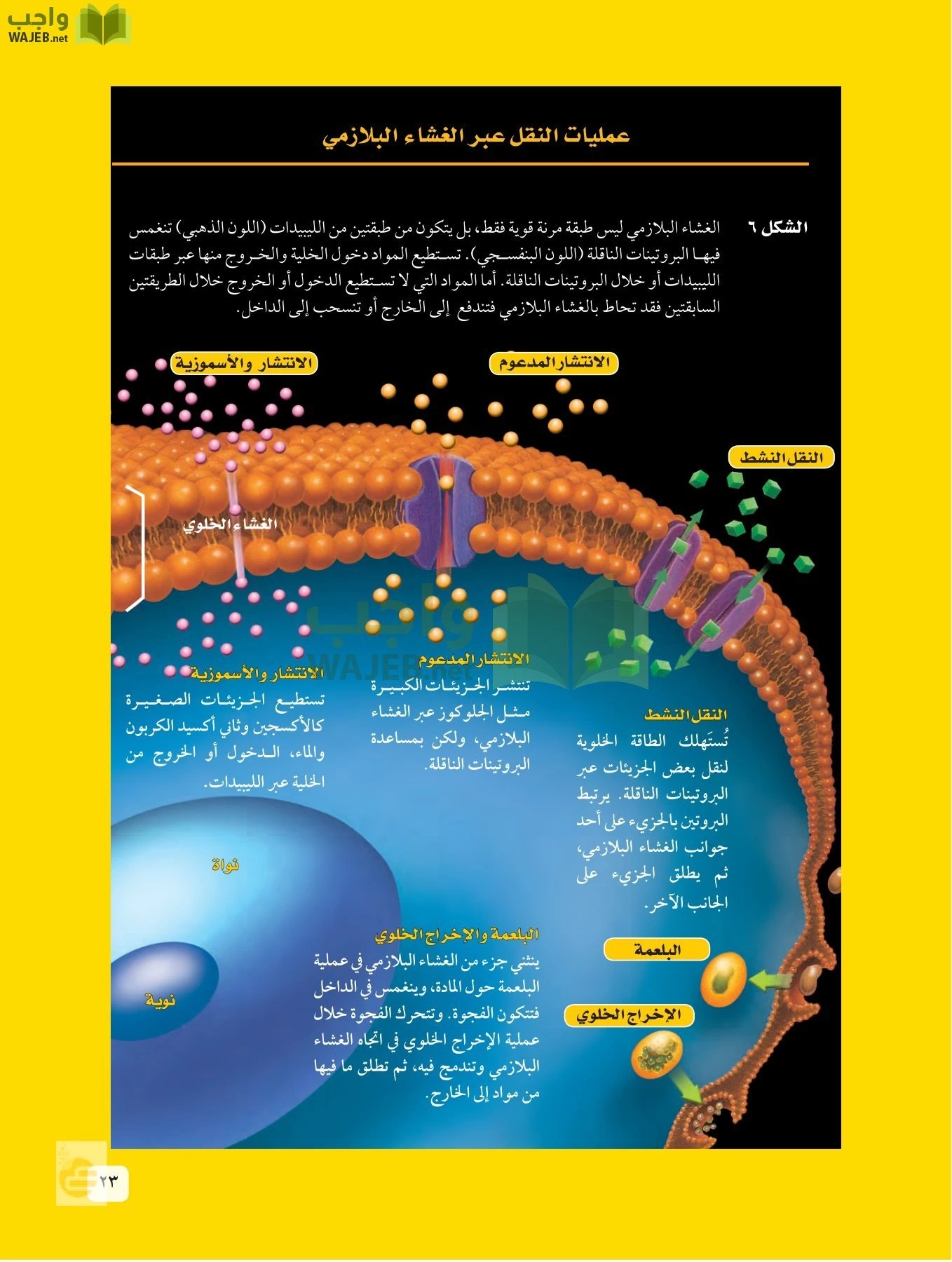 العلوم page-22