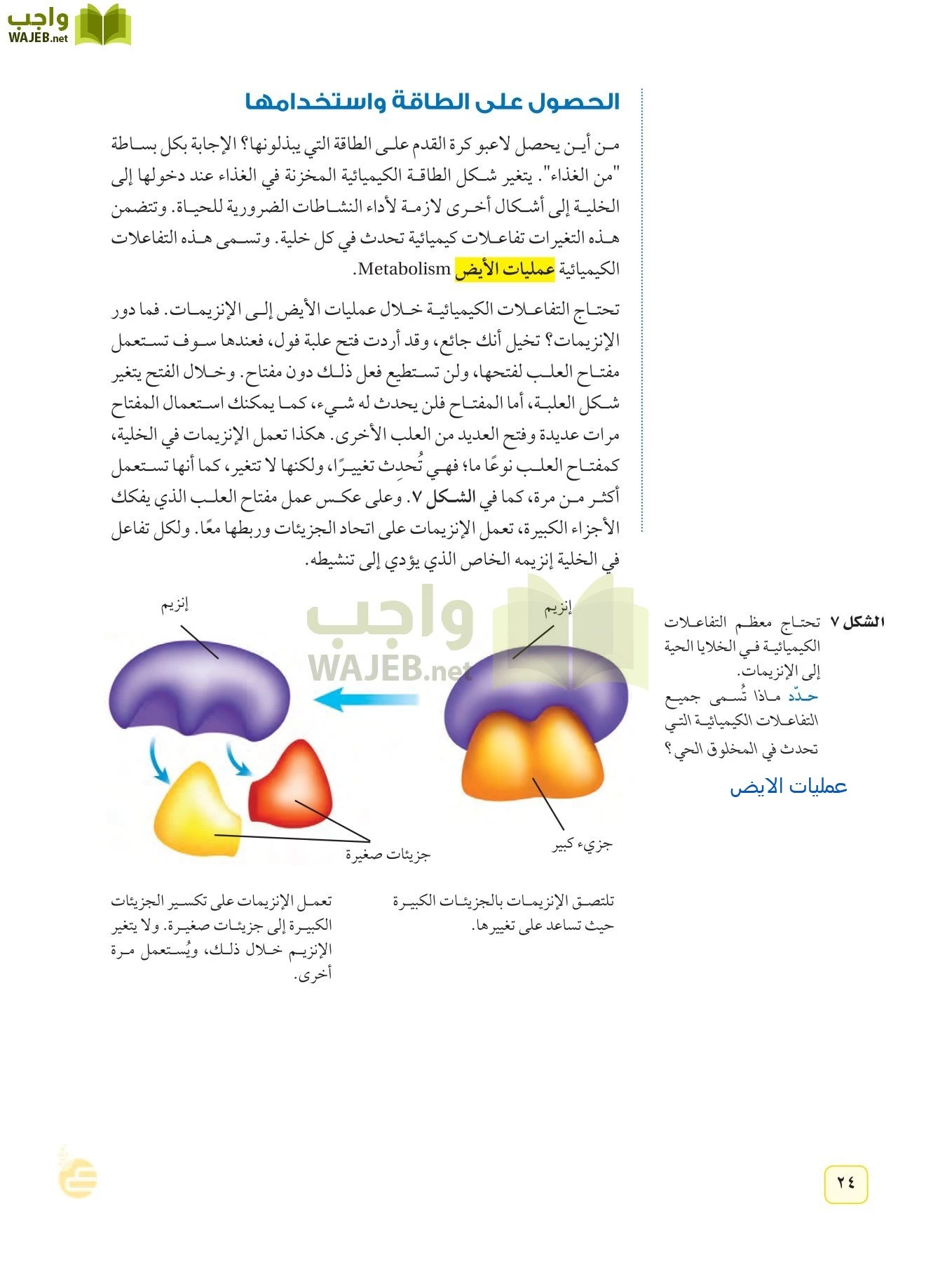 العلوم page-23