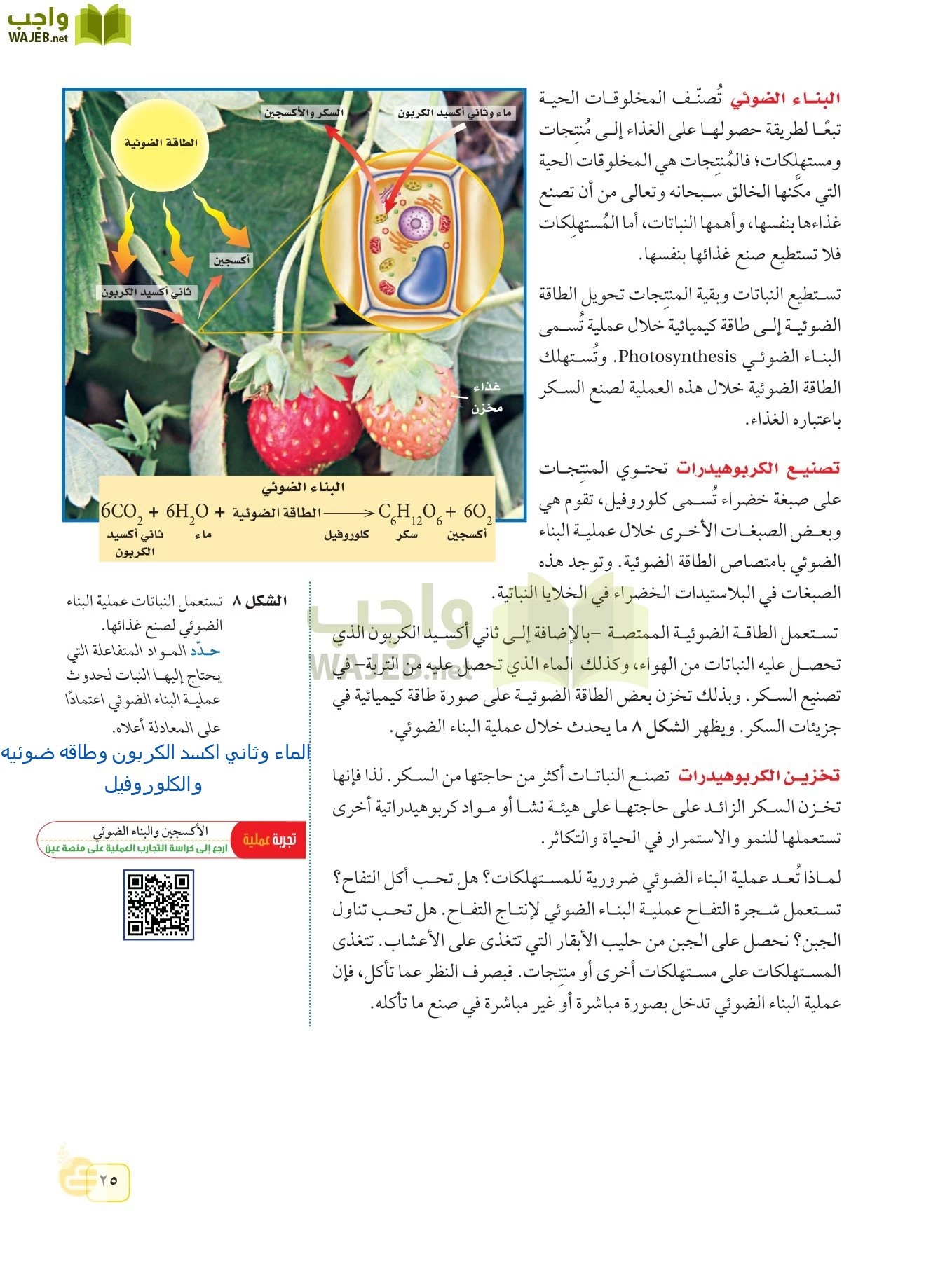 العلوم page-24