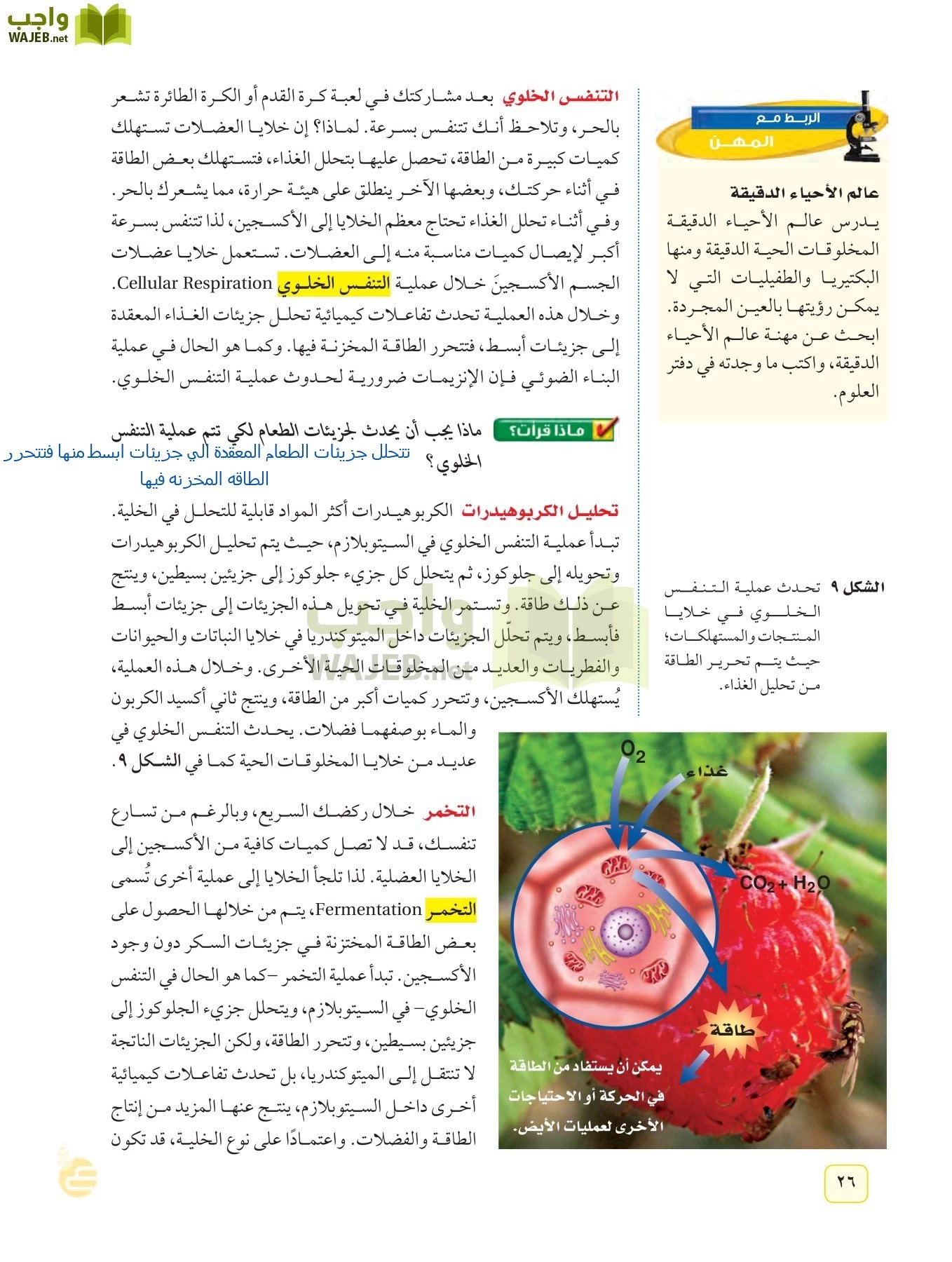 العلوم page-25