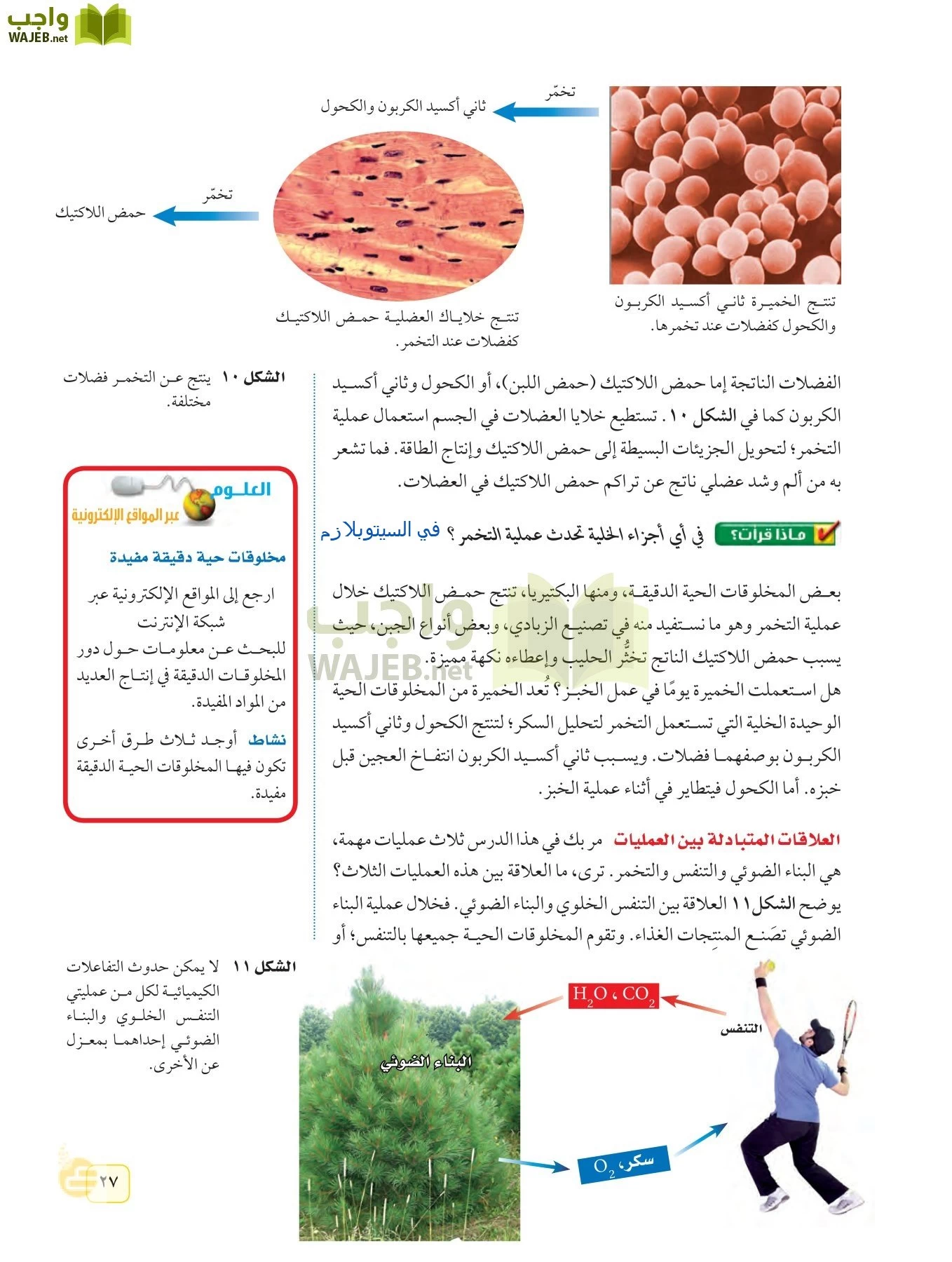 العلوم page-26