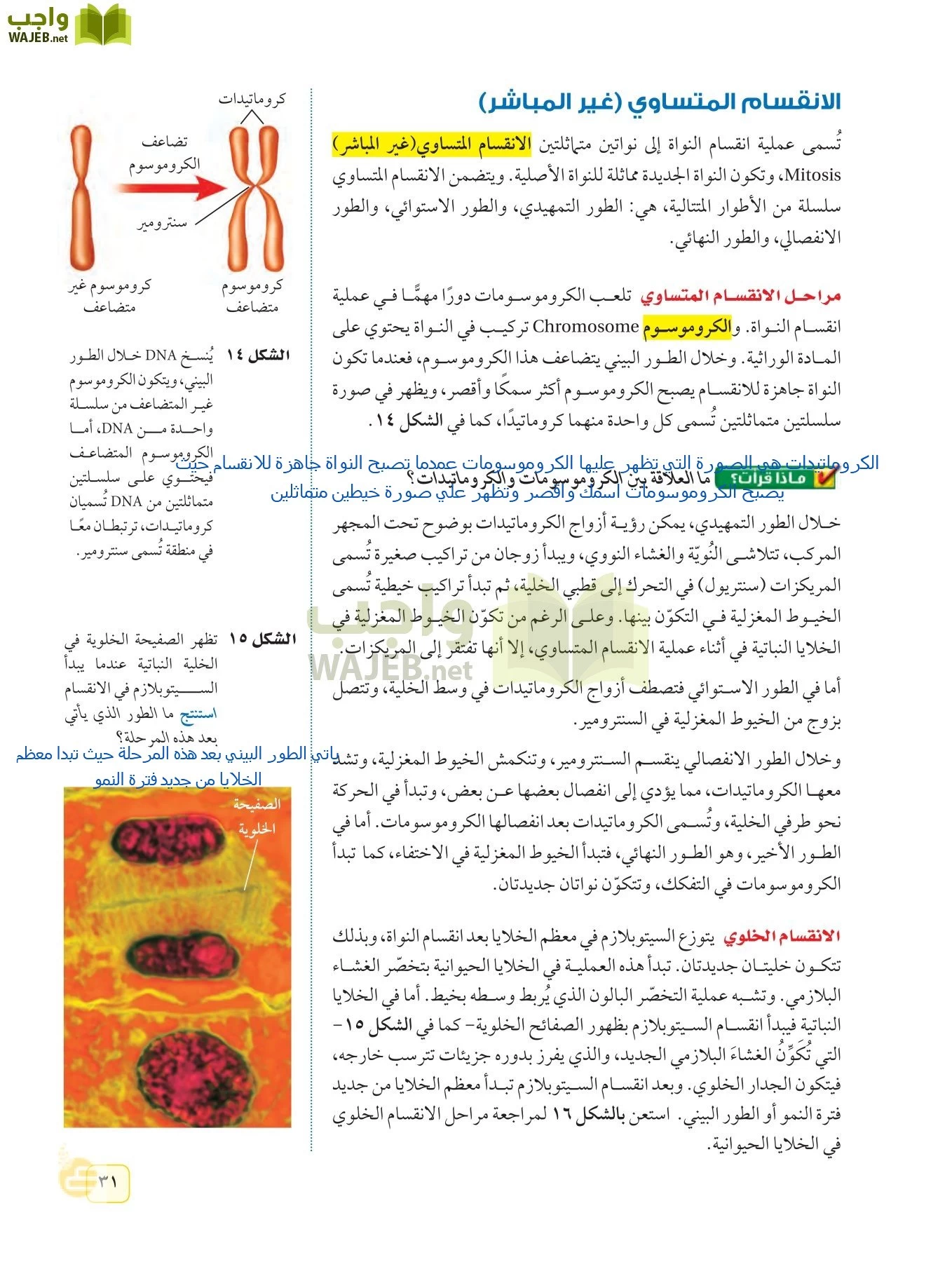 العلوم page-30