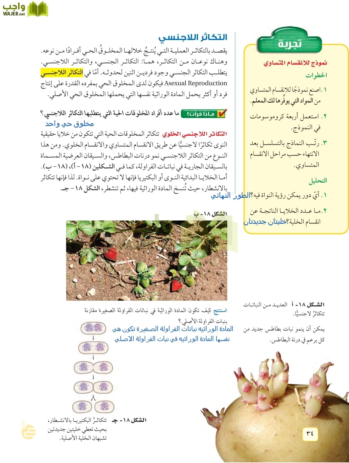 العلوم page-33