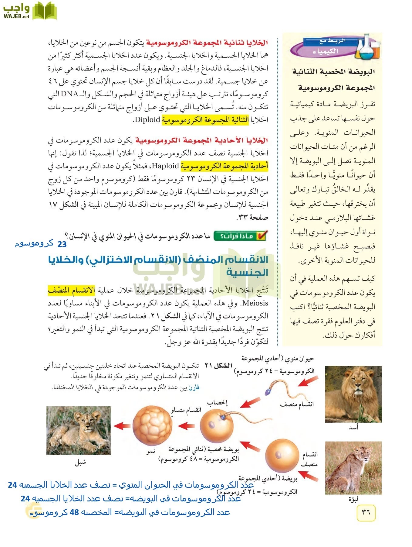 العلوم page-35