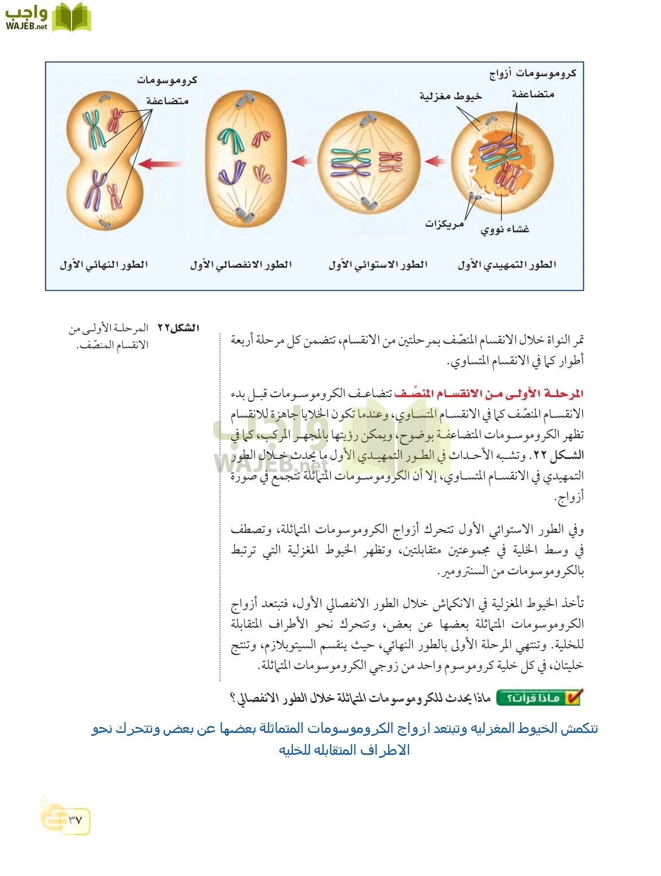 العلوم page-36