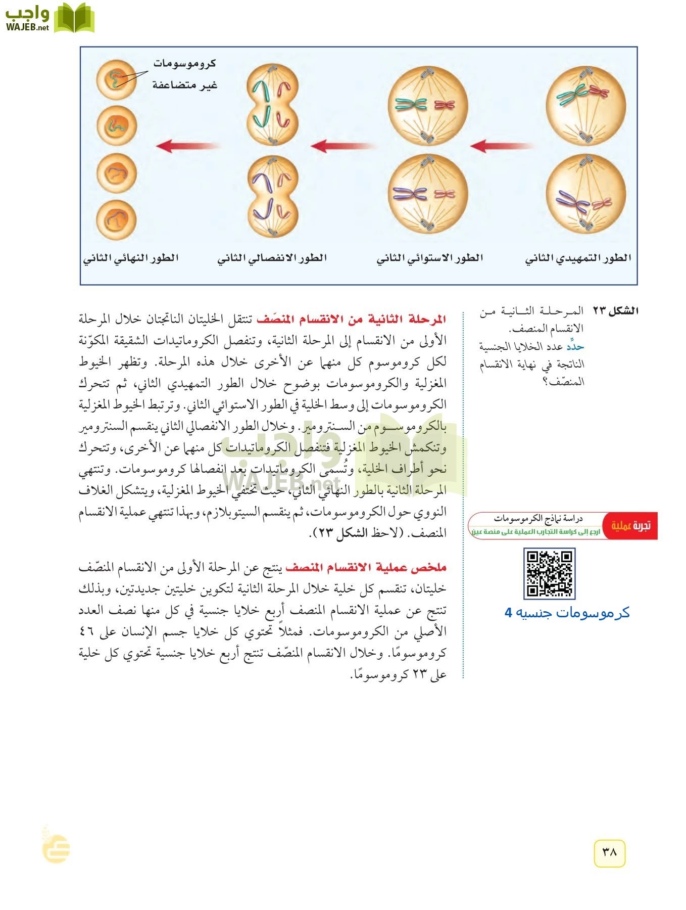 العلوم page-37