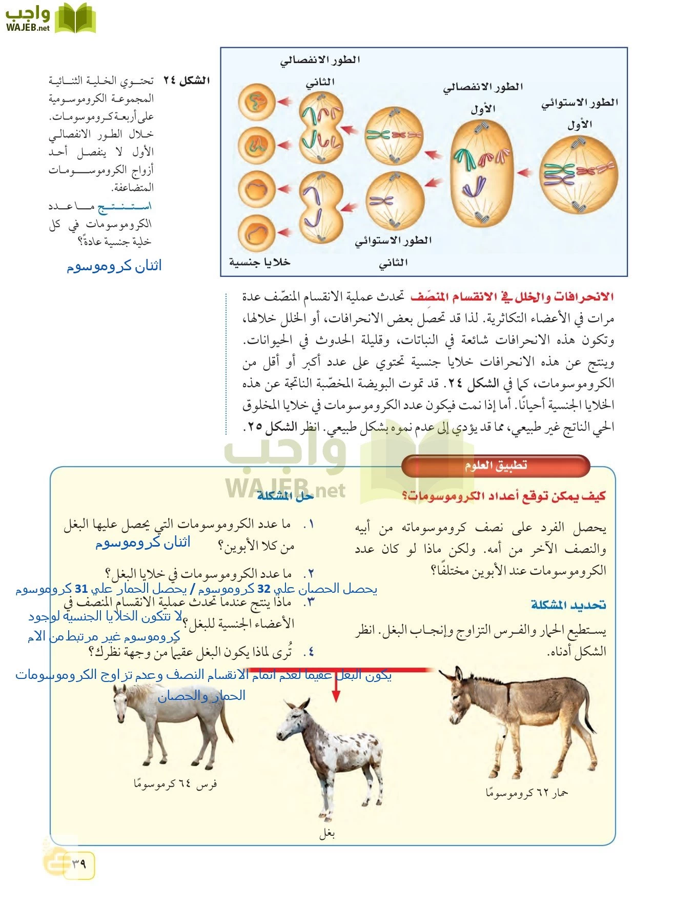 العلوم page-38