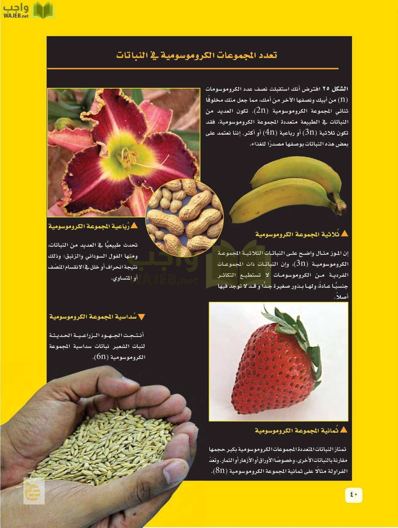 العلوم page-39