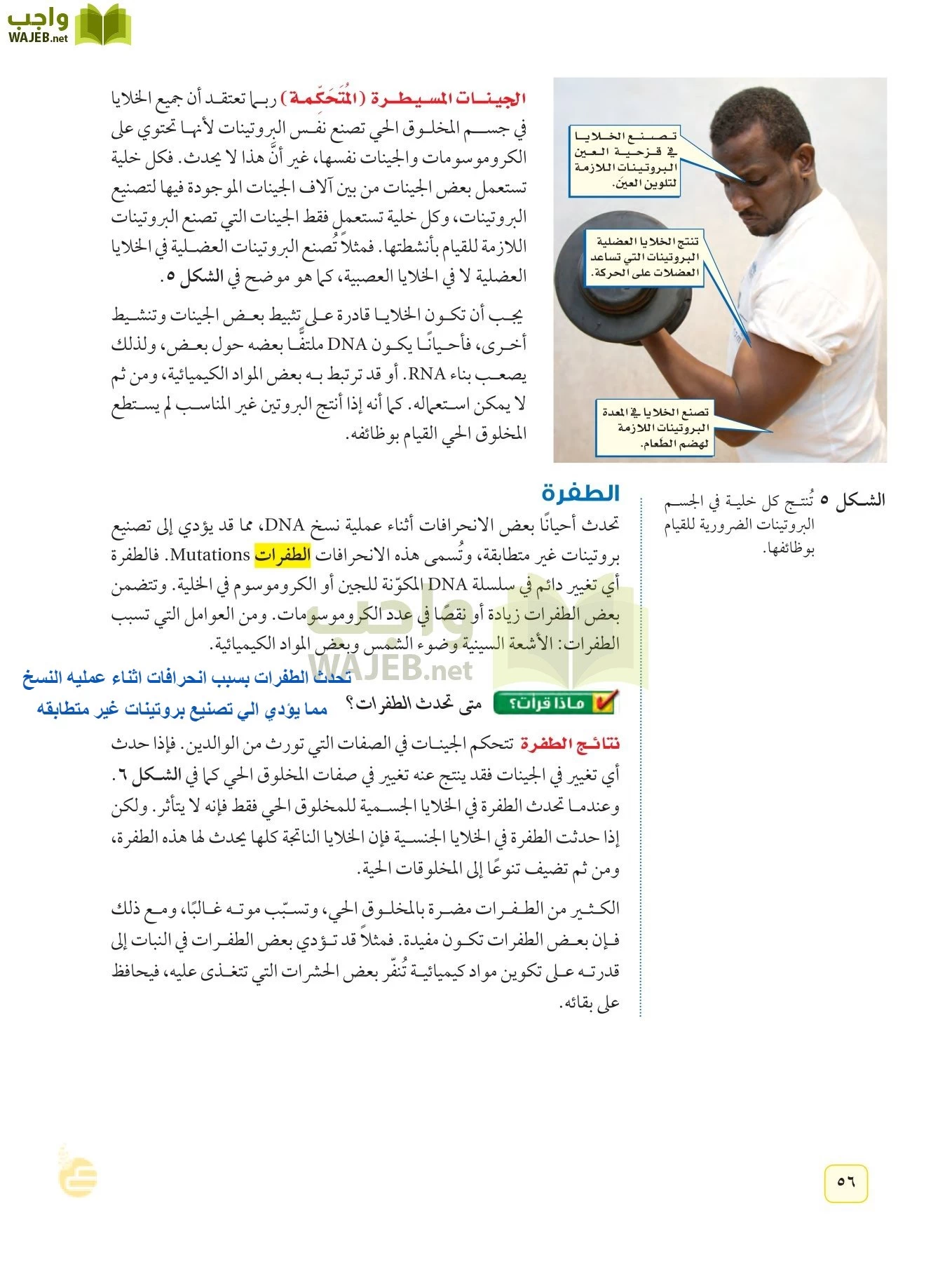 العلوم page-55