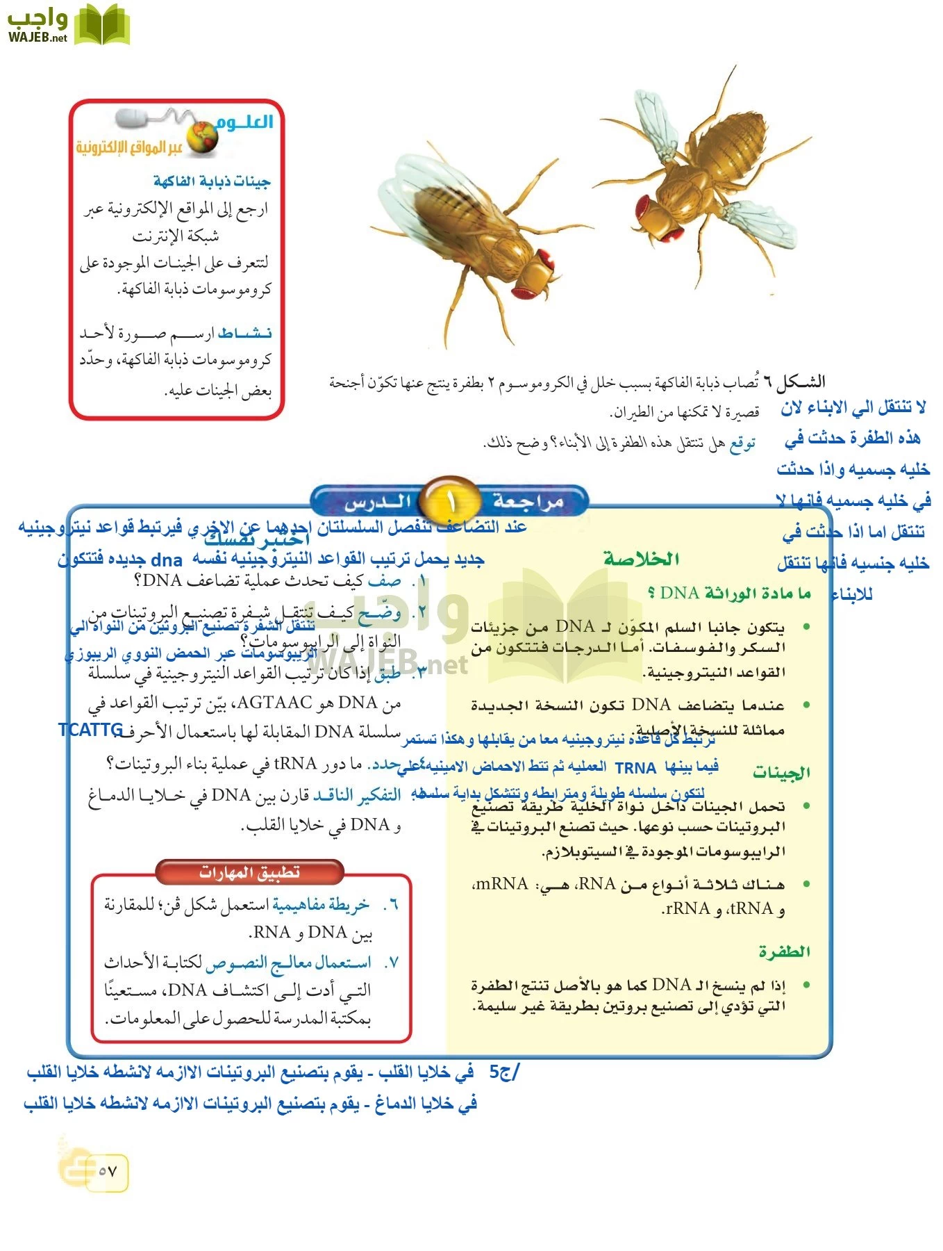 العلوم page-56