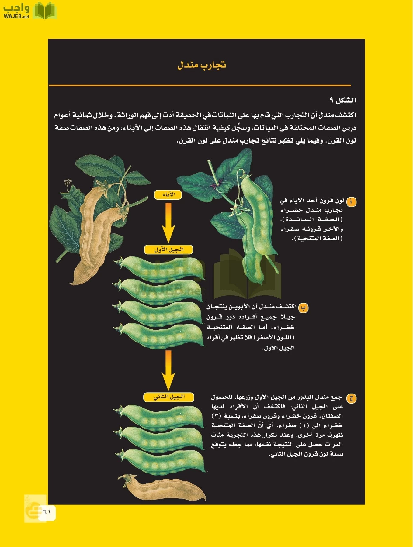 العلوم page-60