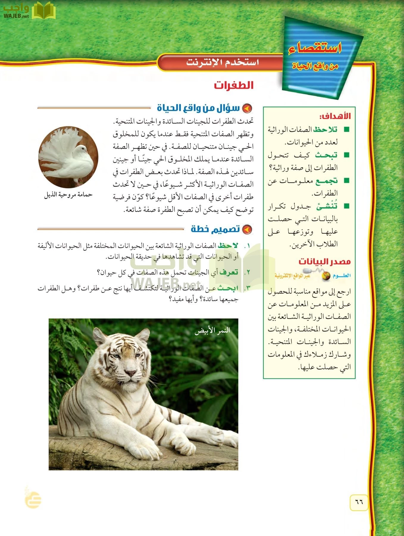 العلوم page-65