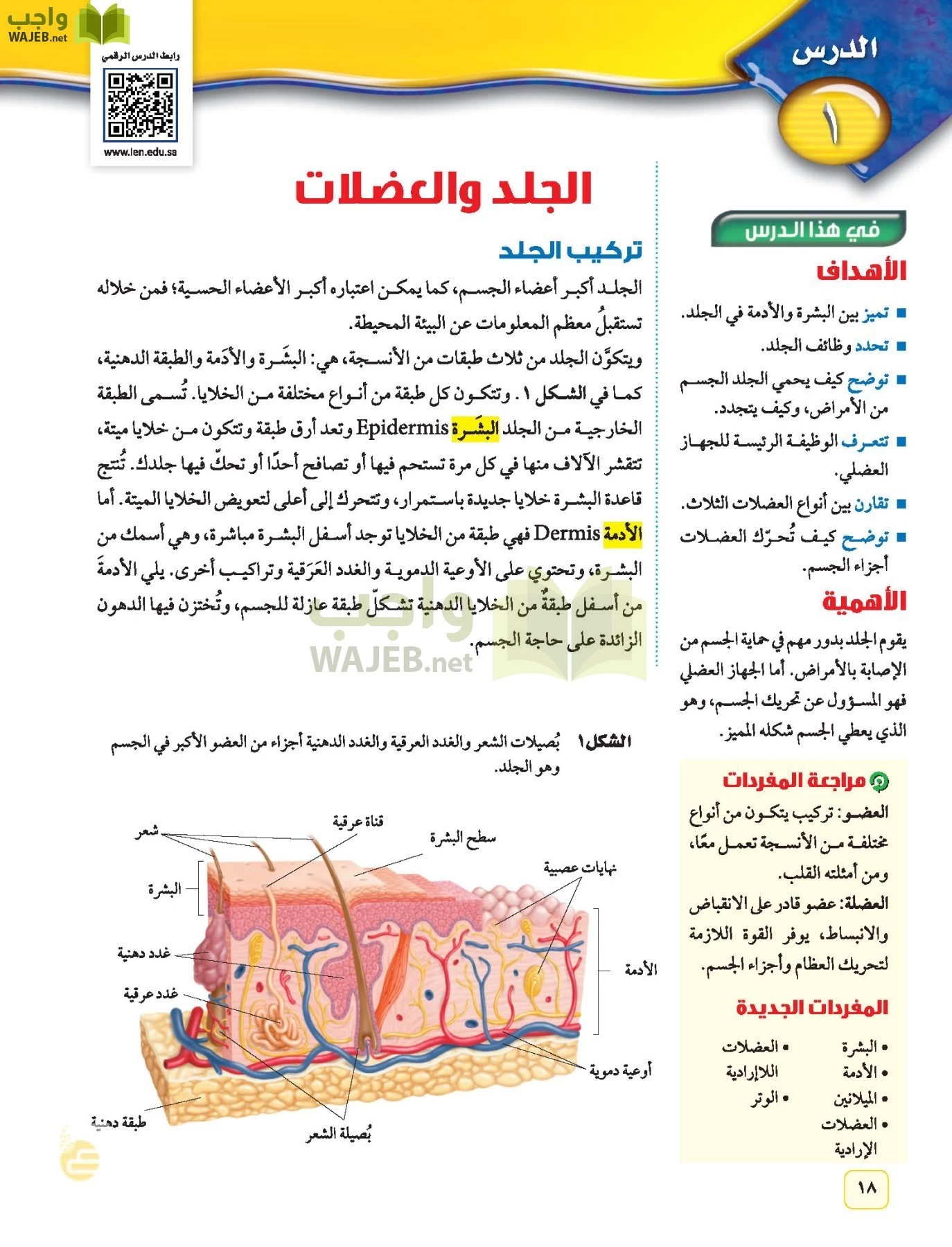 العلوم page-17