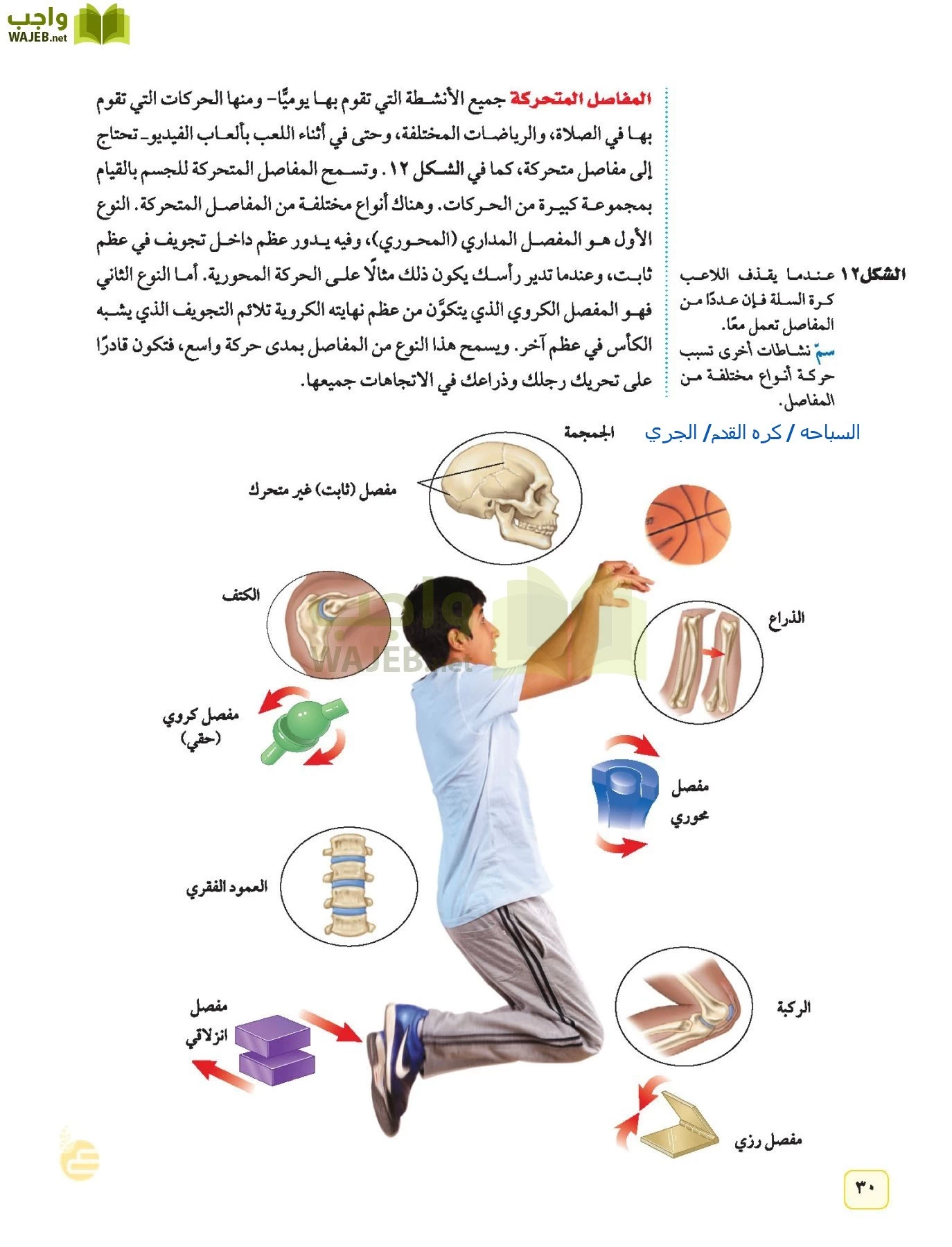 العلوم page-29