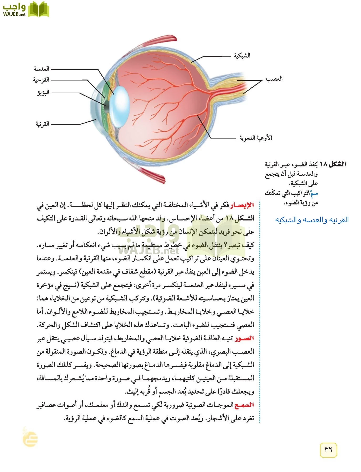 العلوم page-35