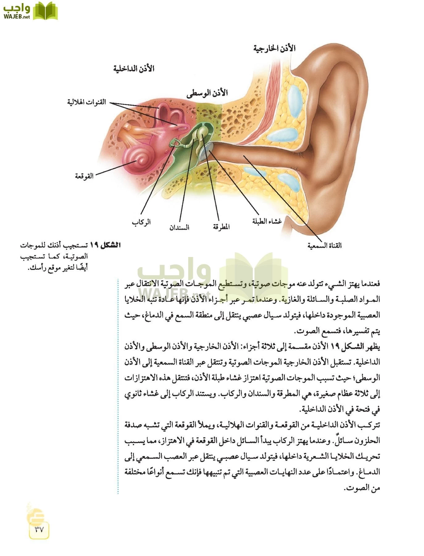 العلوم page-36