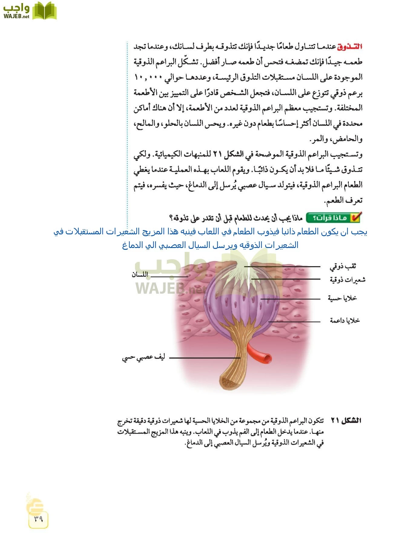 العلوم page-38