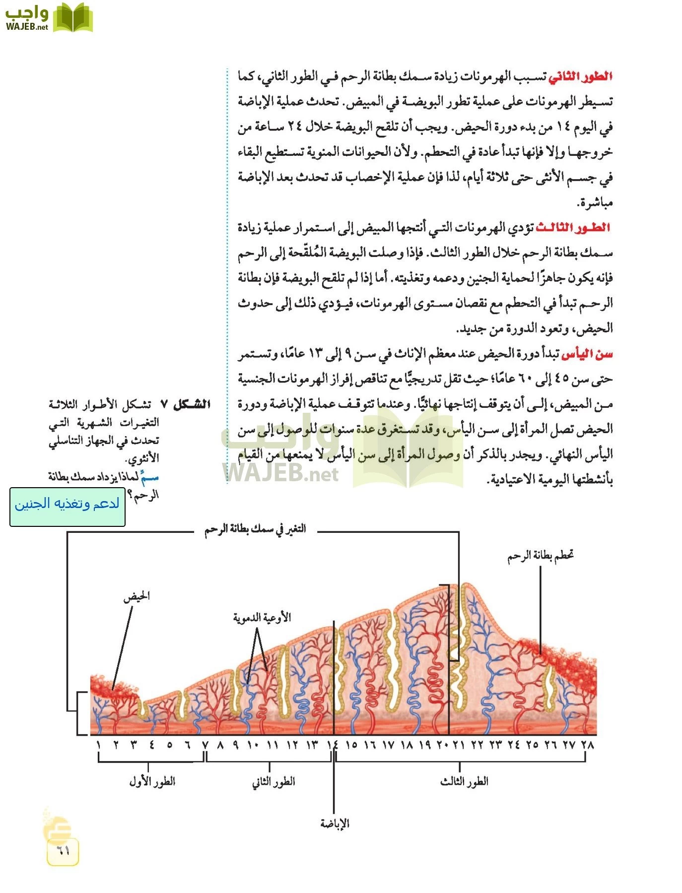 العلوم page-60