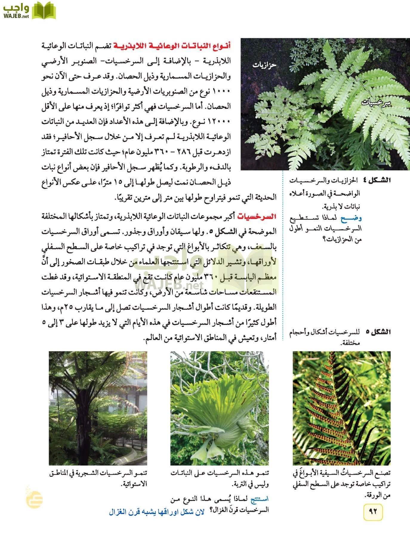 العلوم page-91