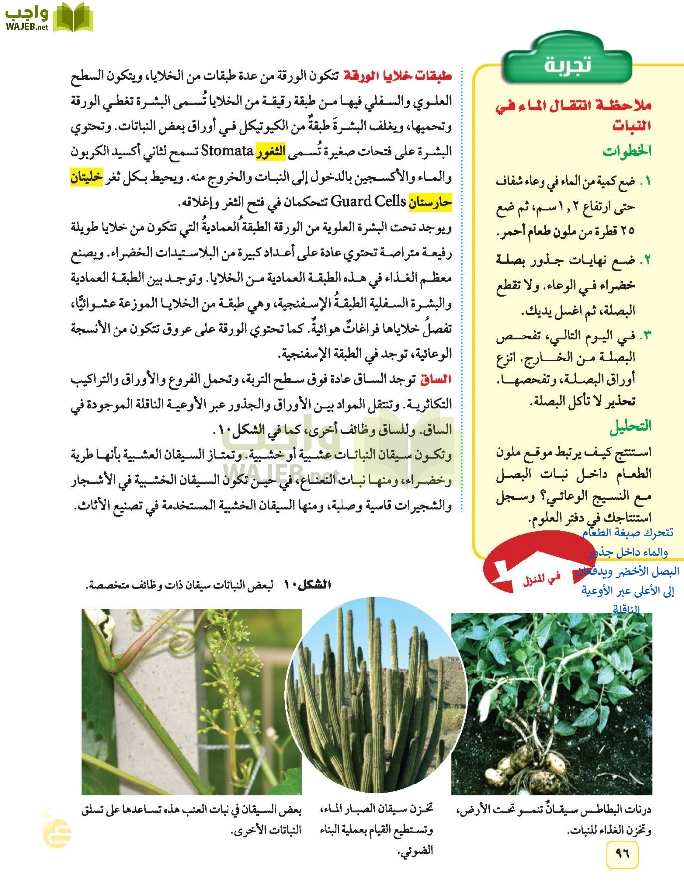 العلوم page-95