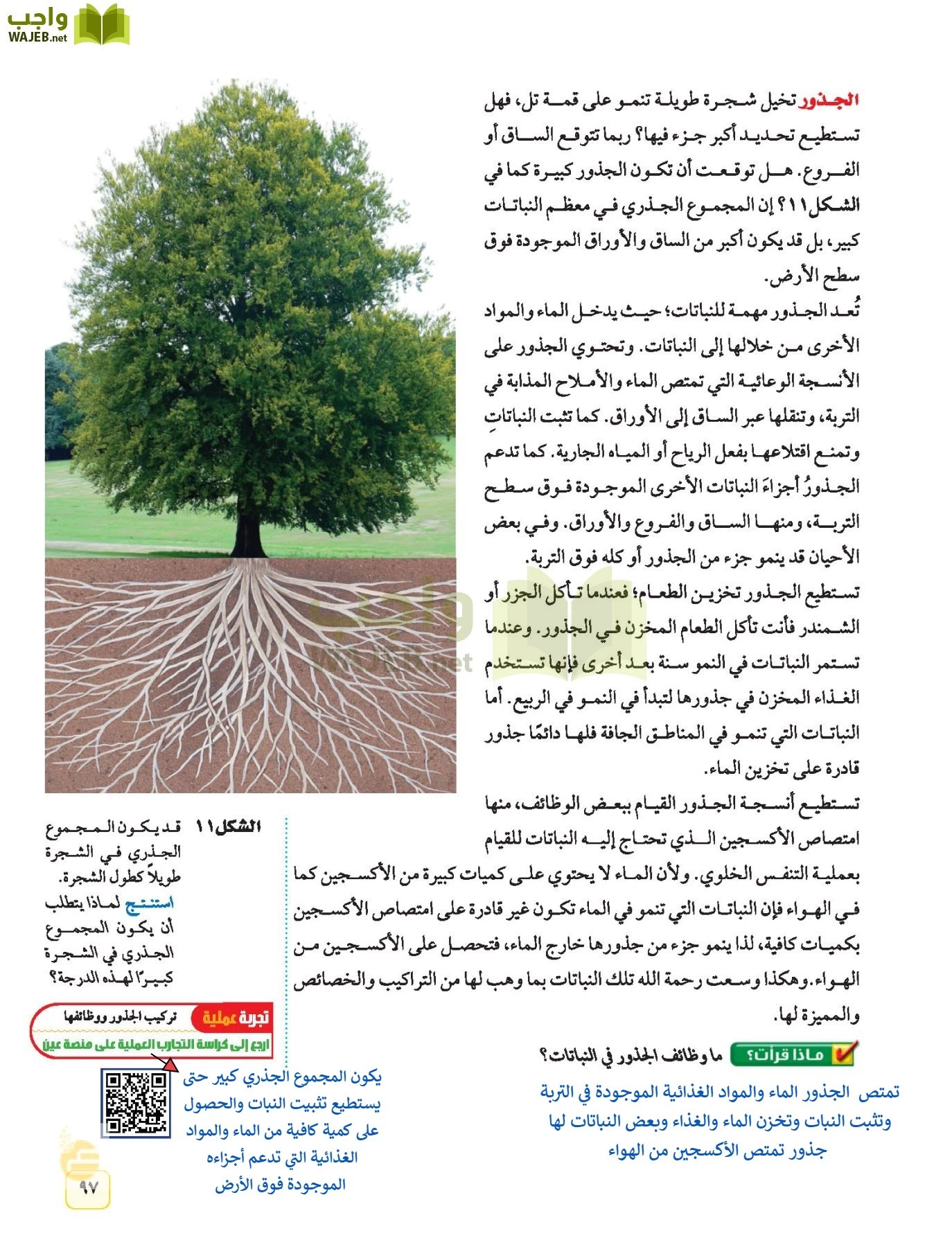 العلوم page-96