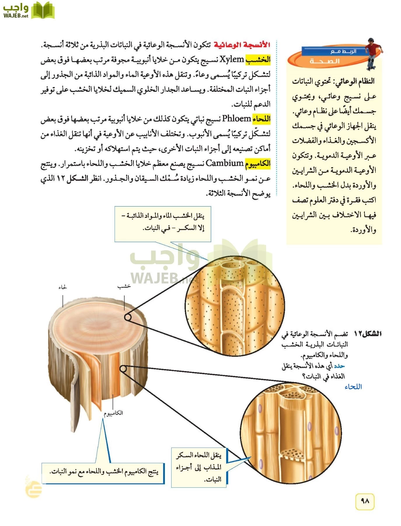 العلوم page-97