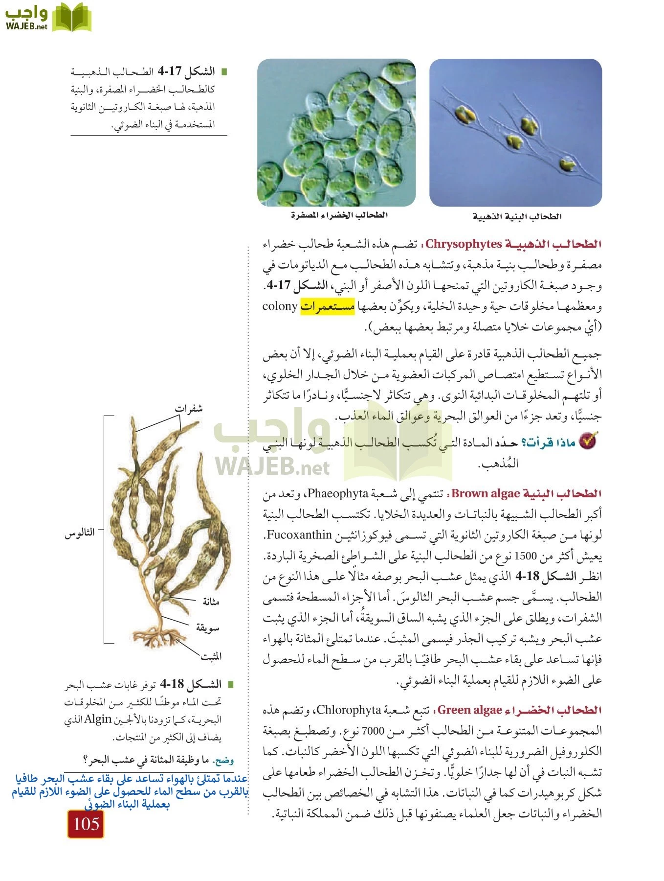 أحياء 1 مقررات page-104