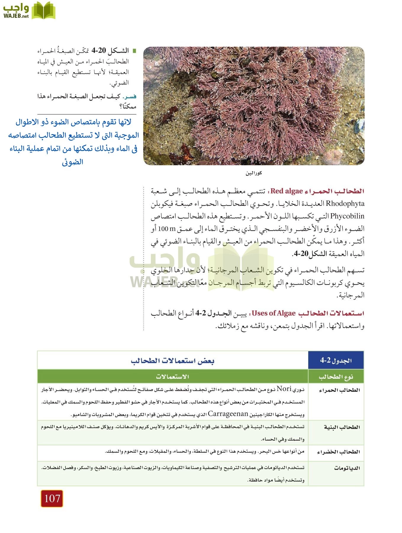 أحياء 1 مقررات page-106