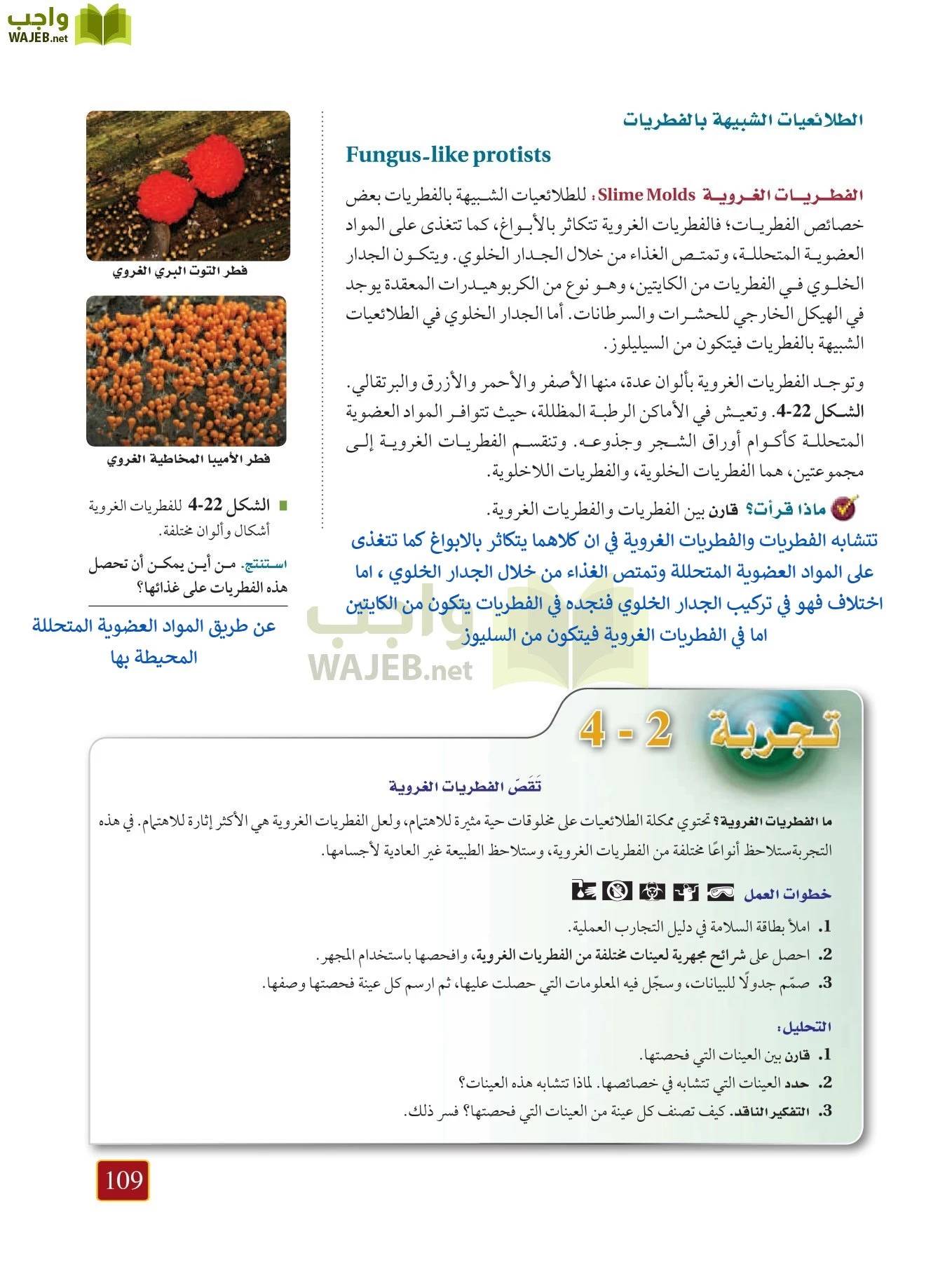 أحياء 1 مقررات page-108