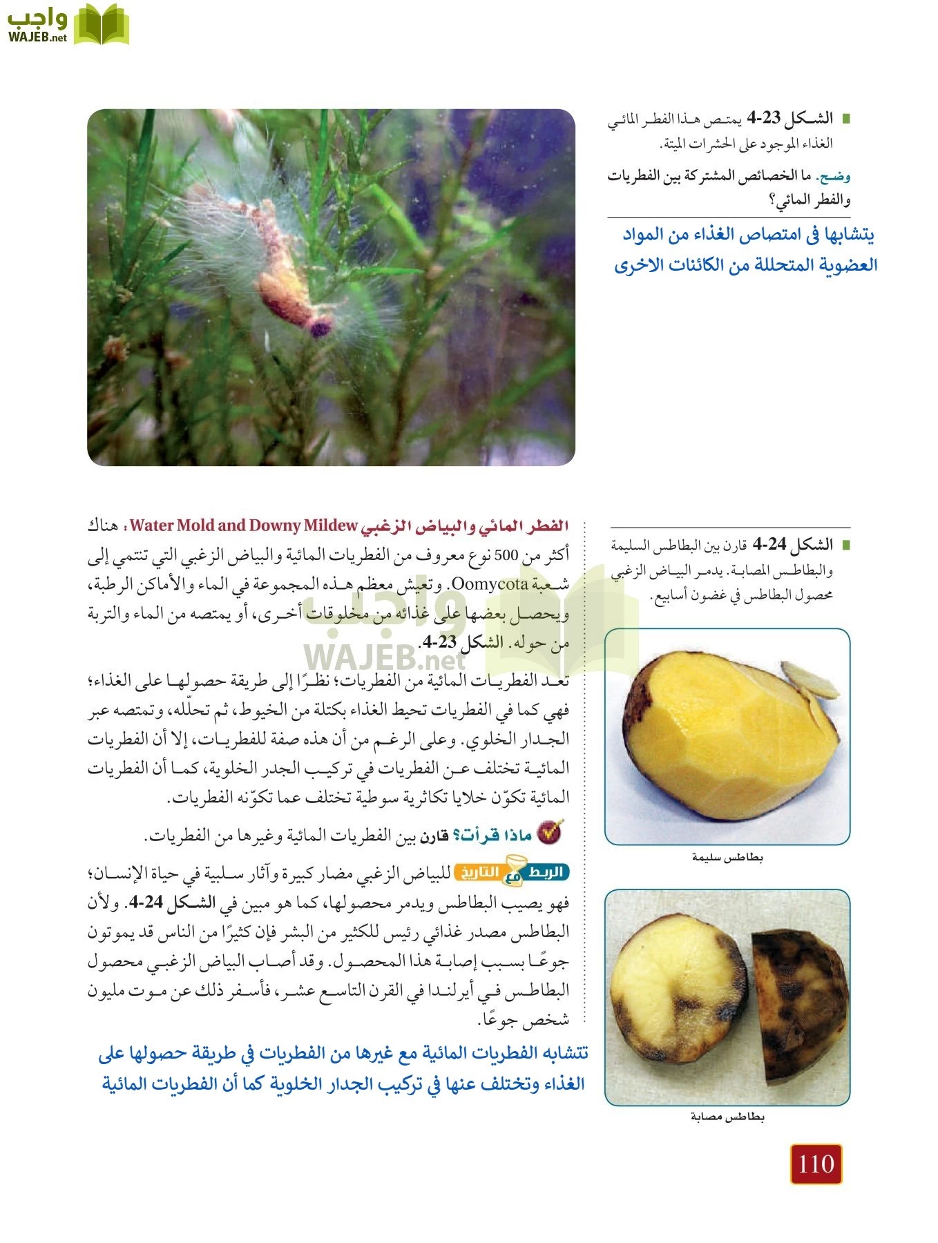 أحياء 1 مقررات page-109