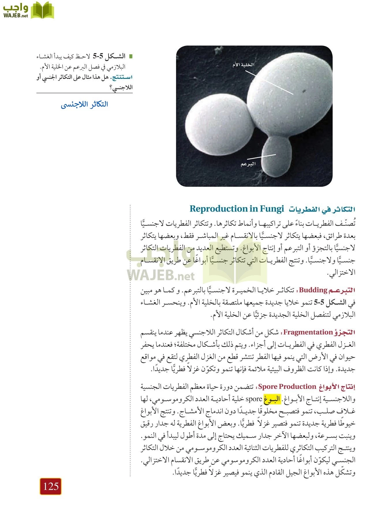 أحياء 1 مقررات page-124