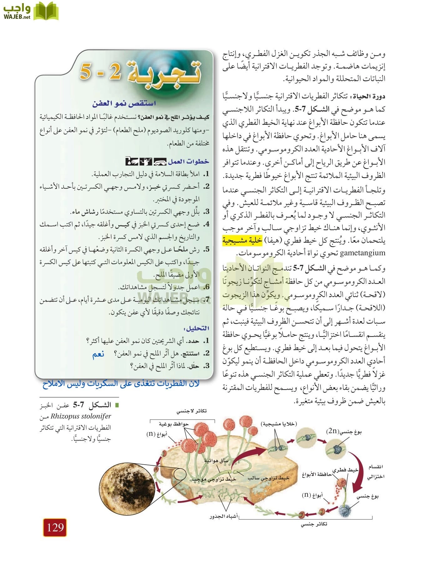 أحياء 1 مقررات page-128