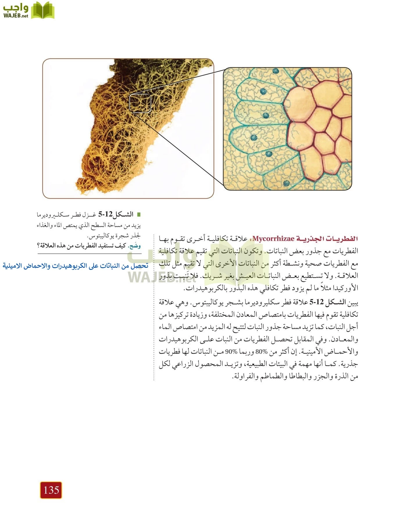 أحياء 1 مقررات page-134