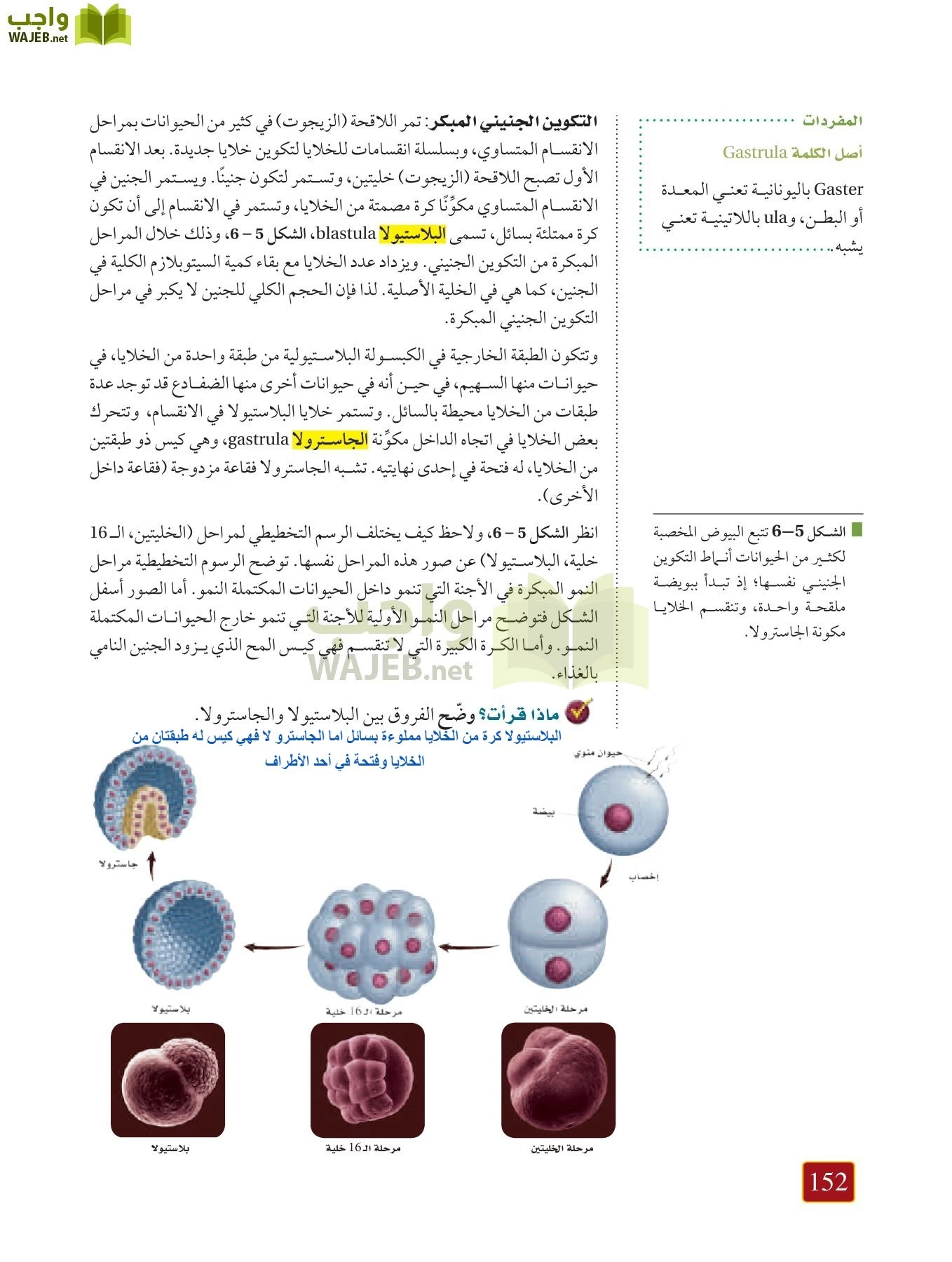 أحياء 1 مقررات page-151