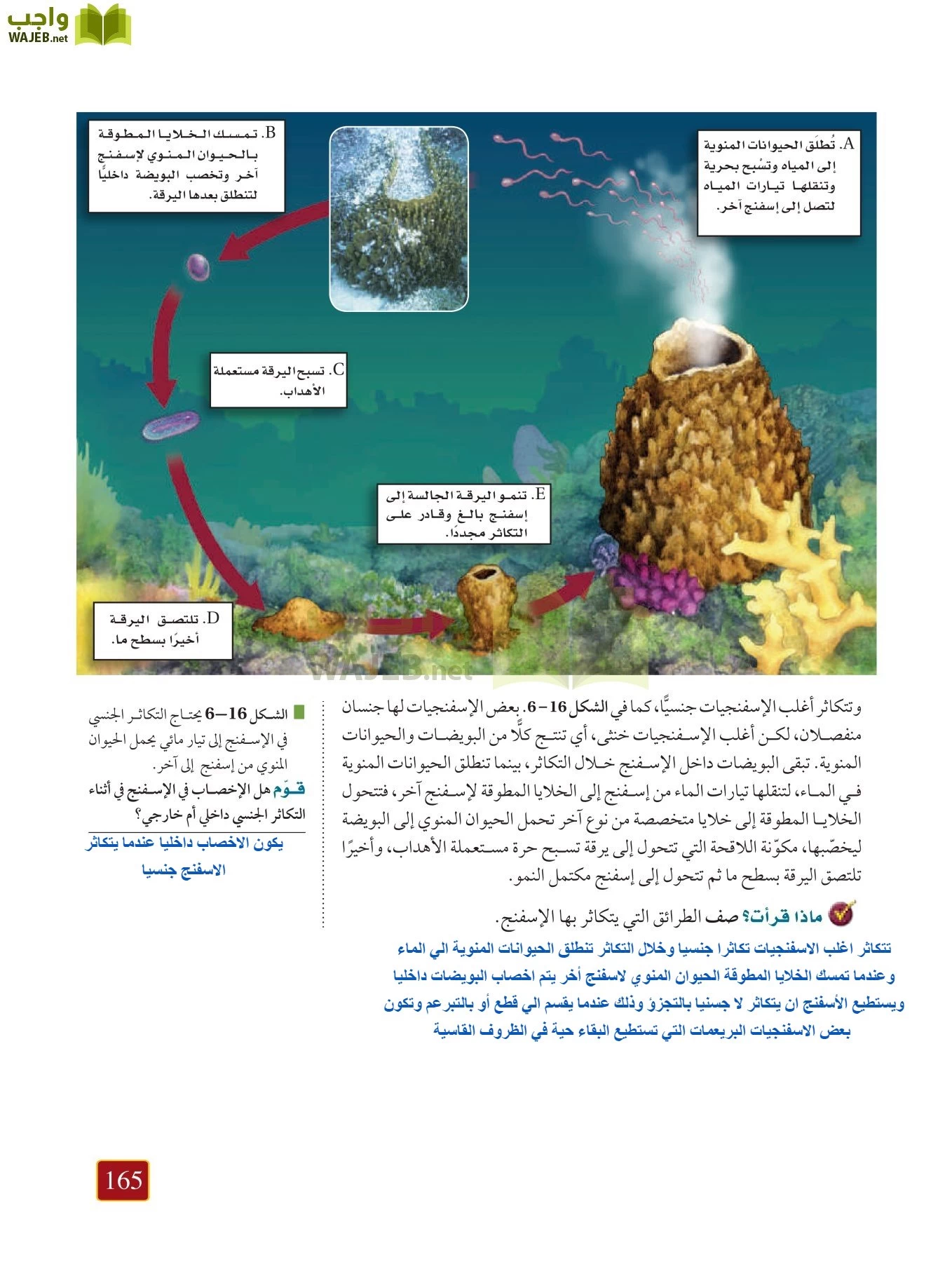 أحياء 1 مقررات page-164