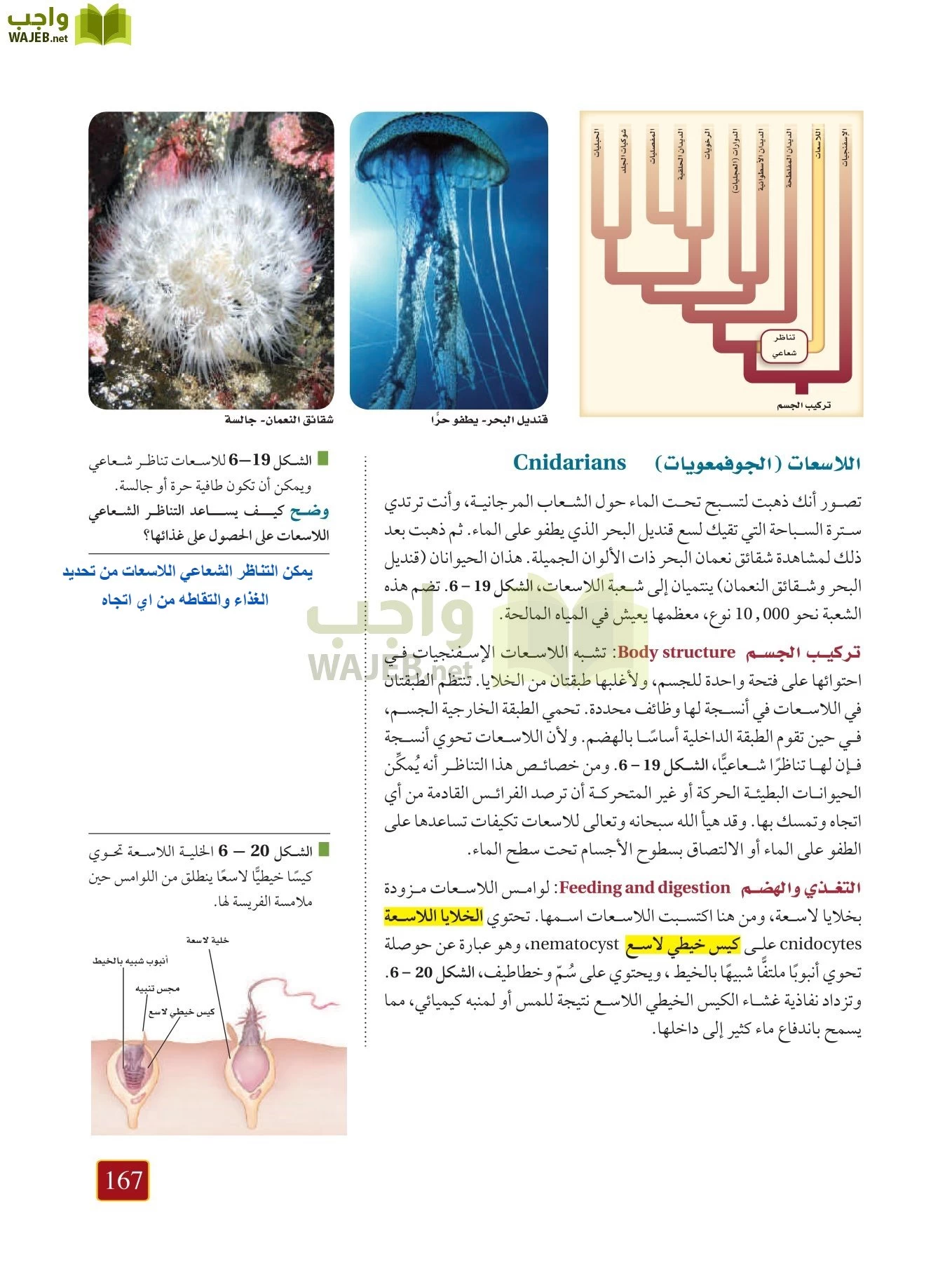 أحياء 1 مقررات page-166