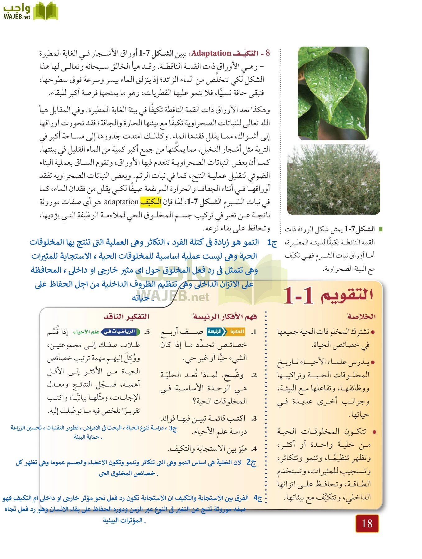 أحياء 1 مقررات page-17