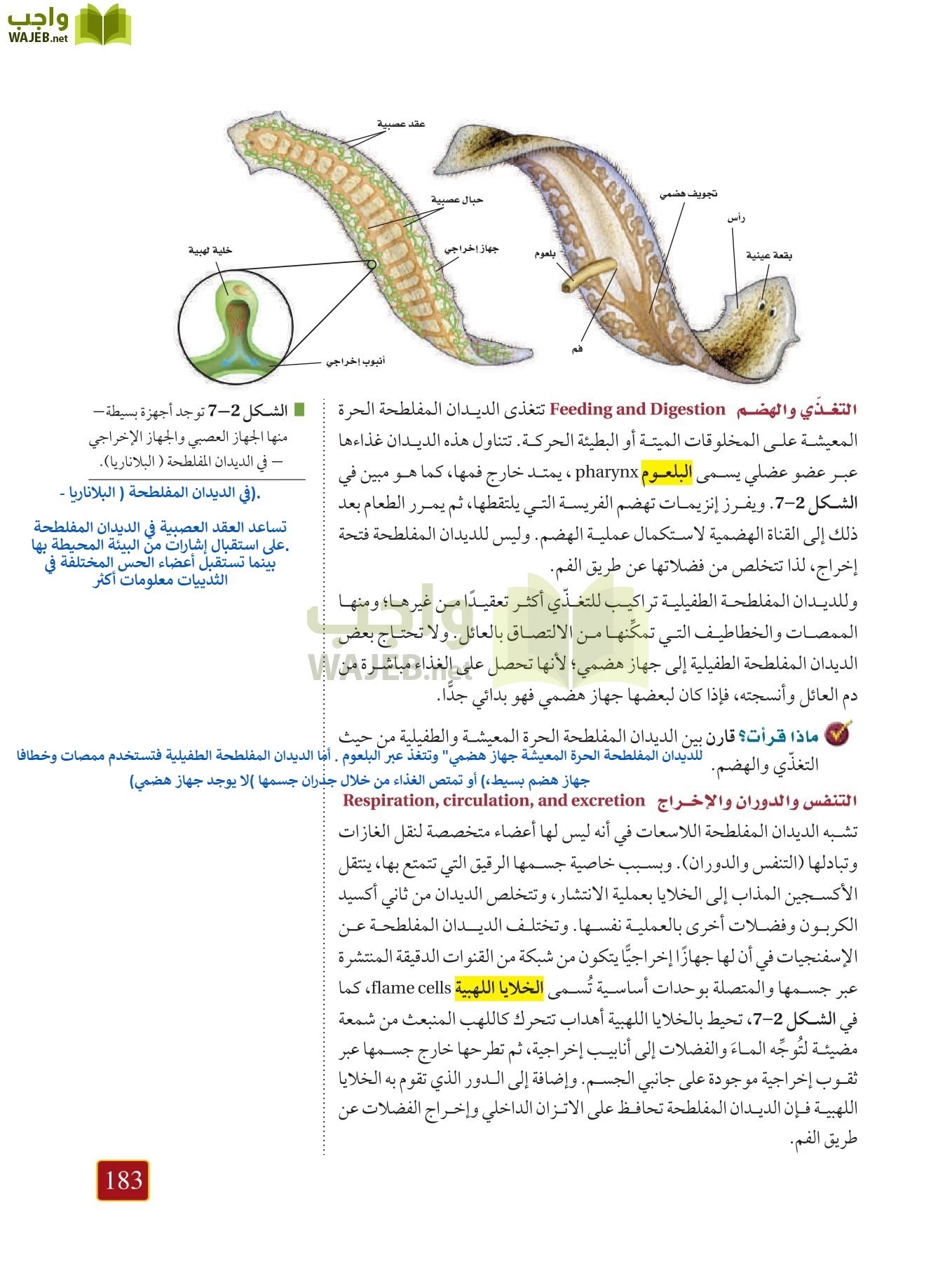 أحياء 1 مقررات page-182