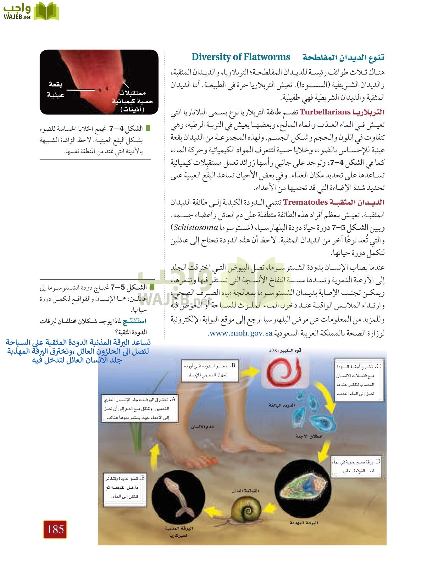 أحياء 1 مقررات page-184