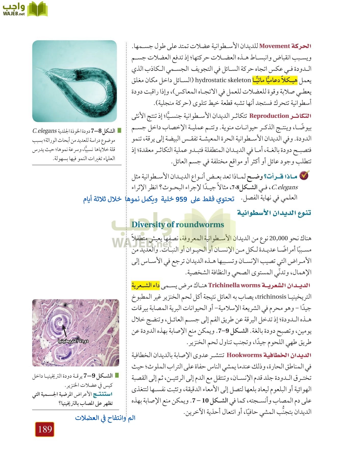 أحياء 1 مقررات page-188