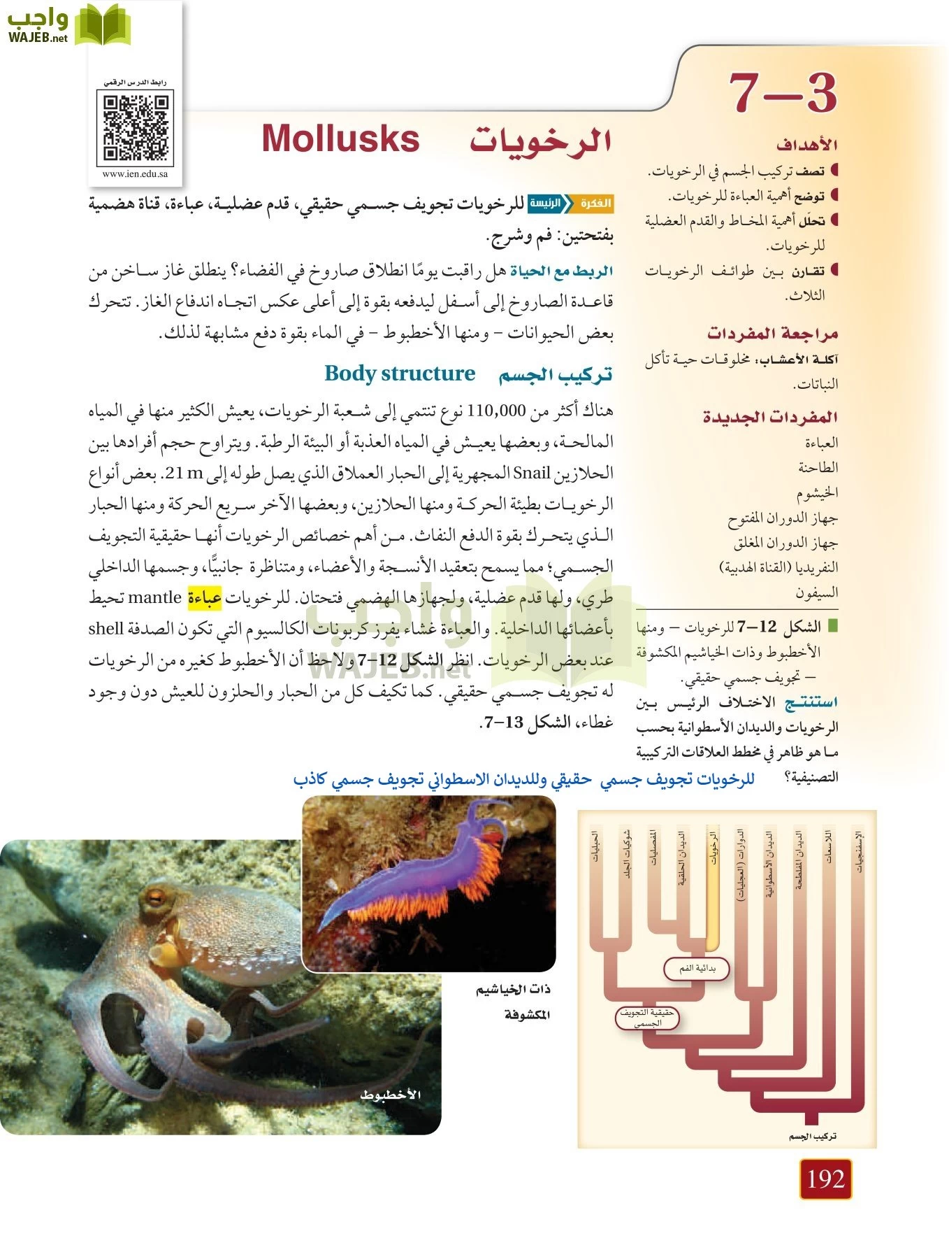 أحياء 1 مقررات page-191