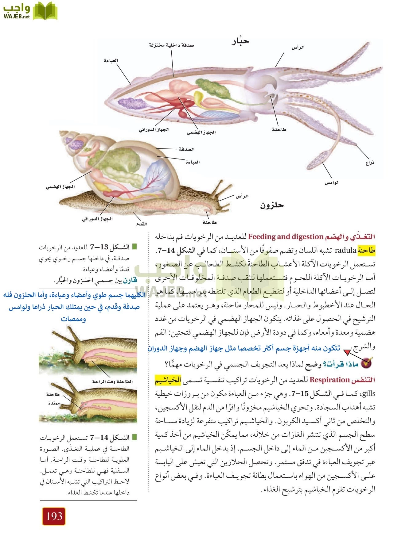 أحياء 1 مقررات page-192