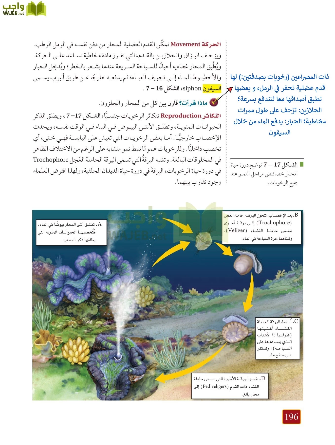 أحياء 1 مقررات page-195