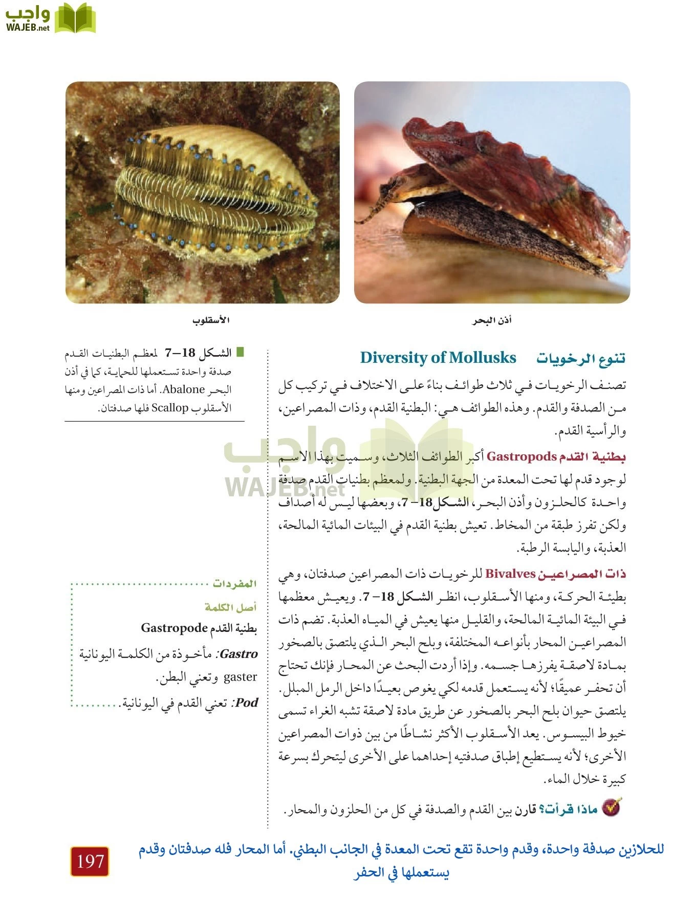 أحياء 1 مقررات page-196