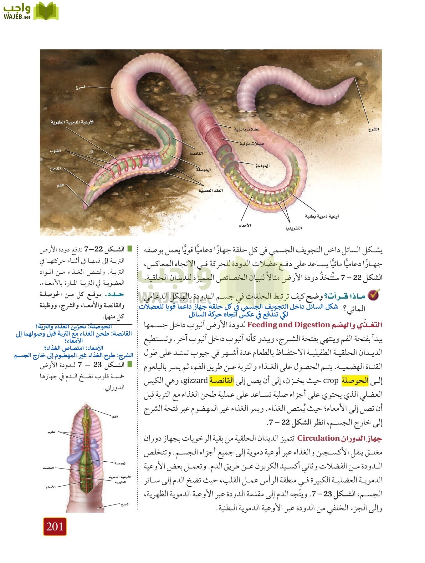 أحياء 1 مقررات page-200