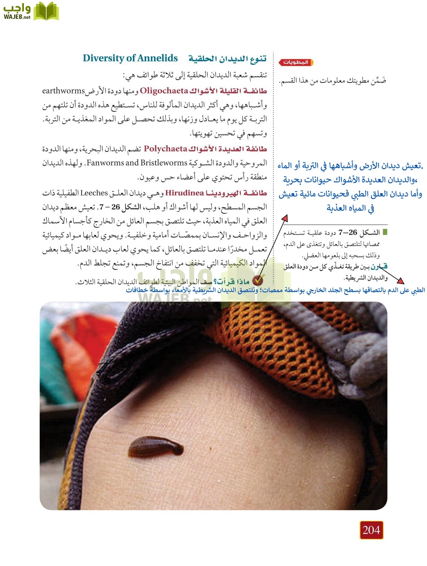 أحياء 1 مقررات page-203