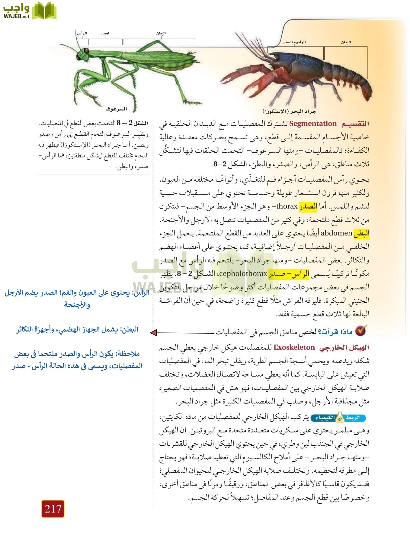 أحياء 1 مقررات page-216